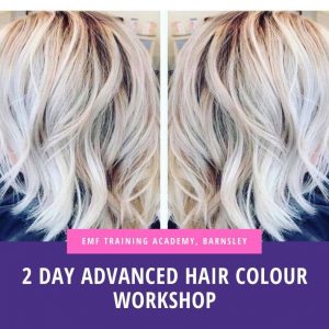 Advanced Hair Colour Workshop (10am-4pm)(2Day Course)