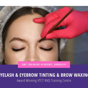 Eyelash & Eyebrow Tinting & Brow Waxing (Daytime)(10am-3pm)