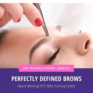 Perfectly Defined Brows/ Hybrid / Skin Stain Course (10am-4pm)