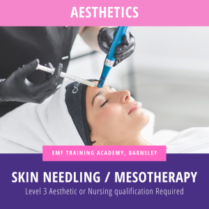 Skin Needling / Dermaroller / Mesotherapy (10am-4pm)