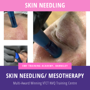 Skin Needling / Dermaroller / Mesotherapy (10am-4pm)