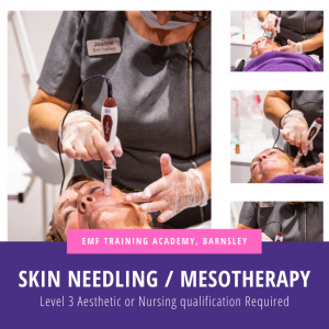 Skin Needling / Dermaroller / Mesotherapy (10am-4pm)
