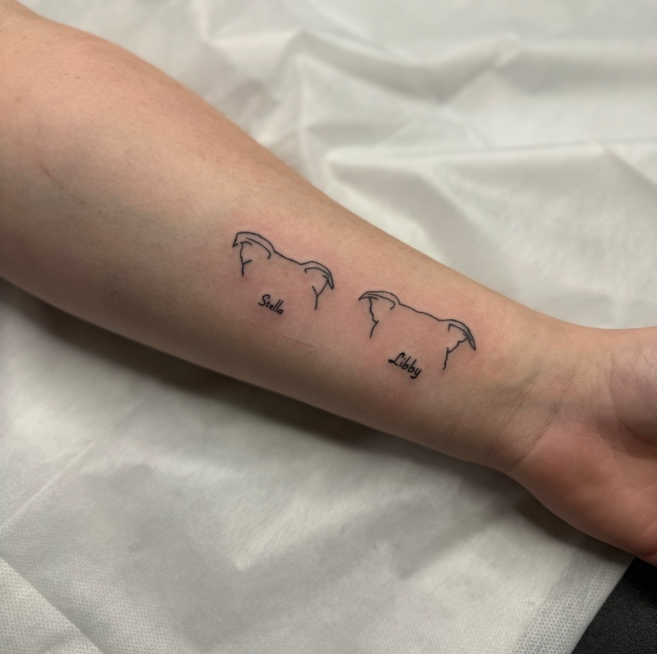 FINE LINE TATTOO COURSE (2 Days) (10am-4pm) - Image 2